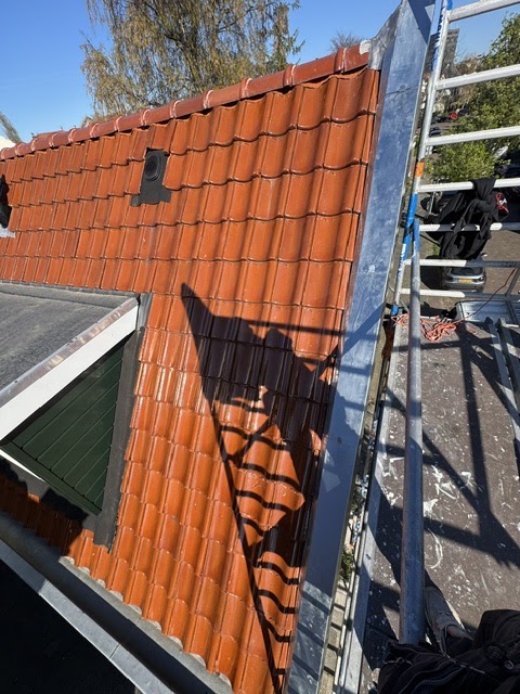 Rode dakpannen die worden gelegd, met een ladder tegen het dak